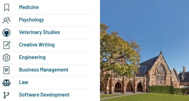 Academic Insights Summer School Career Experience Program